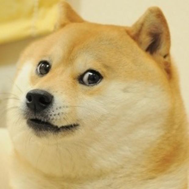 Generador de Meme Perro Sorprendido WTF Doge